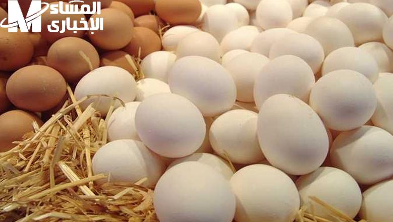 البيض عامل عرض خاص .. تعرف علي سعر كرتونة البيض اليوم الخميس 22/5/2025 إفطار جميل