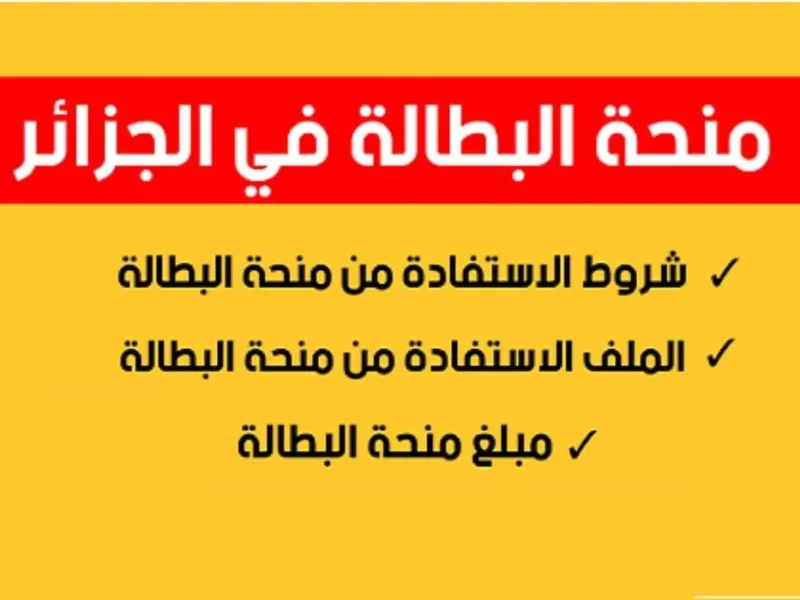الفلوس وصلت والدعم مستمر.. منحة البطالة في الجزائر 2025 هتنقذك وقت الزنقة وتفتحلك باب رزق