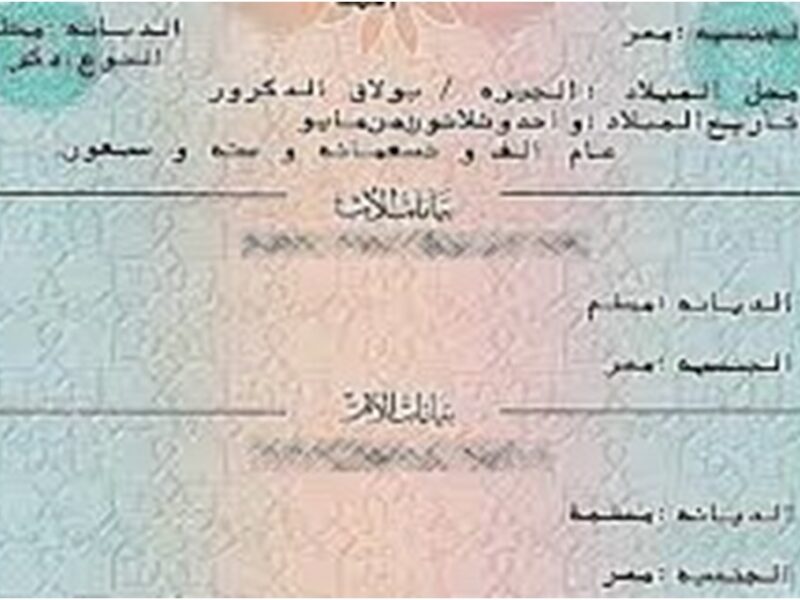 الميلاد بقى من التاتش.. شهادة الميلاد الرقمية في جيبك من غير مشاوير راحة نادرة