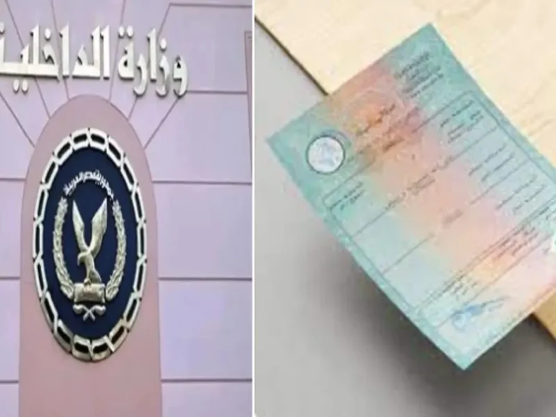 اطبع شهادتك من بيتك .. شهادة الميلاد أونلاين 2025 راحة فورية