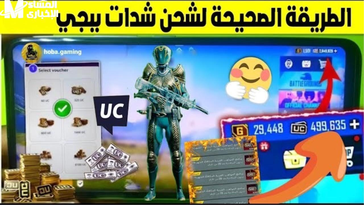 شحن شدات ببجي