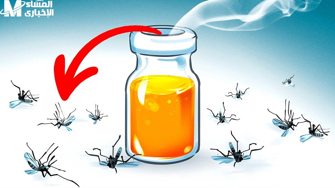 طريقة للتخلص من الناموس
