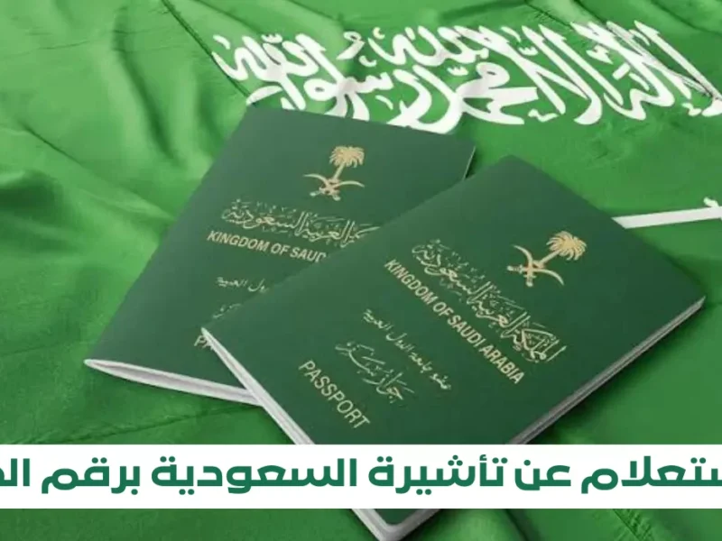 التأشيرة بلمسة واحدة .. تأشيرة الزيارة الإلكترونية في السعودية 100% سهولة مبهرة