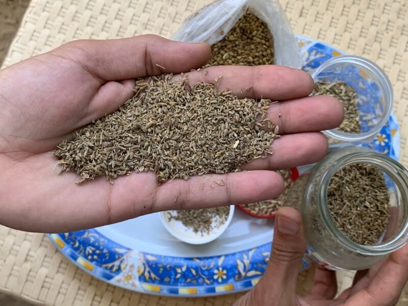 كنز طبيعي في مطبخك…عشبة مذهلة بطعم مميز تخلصك من الغازات والإمساك والقولون بسرعة وتعزز علاج فقر الدم