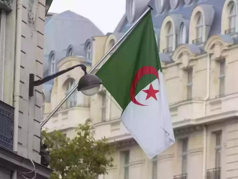 قانون التعليم الجديد في الجزائر