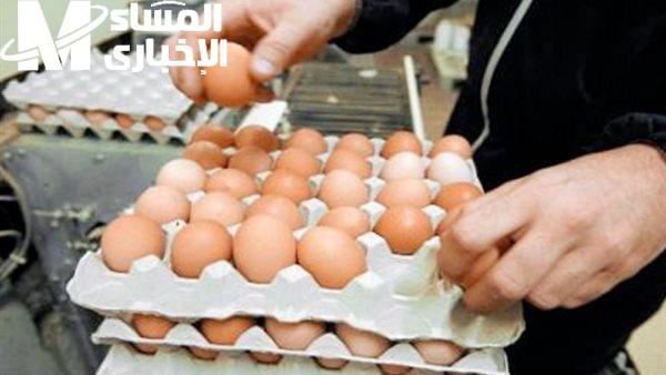 طبق البيض ثابت.. تعرف علي سعر كرتونة البيض اليوم الخميس 8/5/2025 والمطبخ فرحان وفر مضمون
