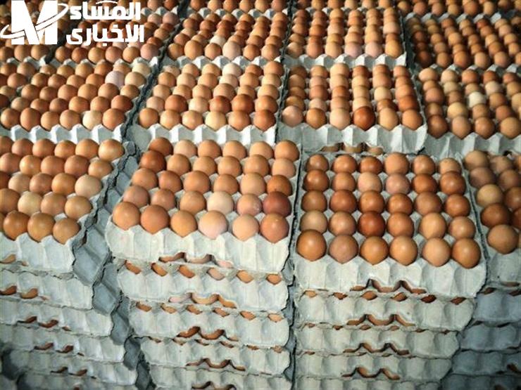 سعر كرتونة البيض