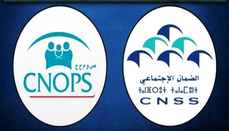 كنوبس