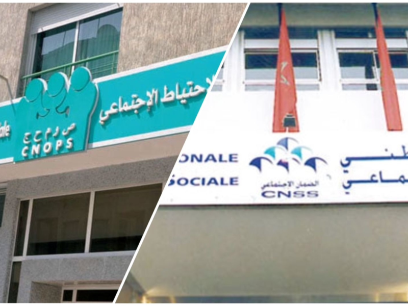التسجيل اشتغل من المغرب فورًا .. رابط التسجيل كنوبس الجديد في المغرب 2025 متطلبات واضحة