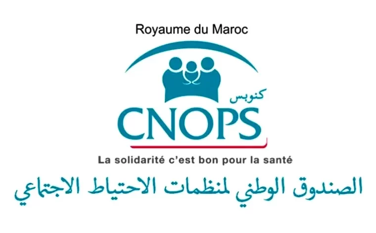 كنوبس بقى شغال.. موقع كنوبس المغرب جاهز بالخدمات الكاملة الآن