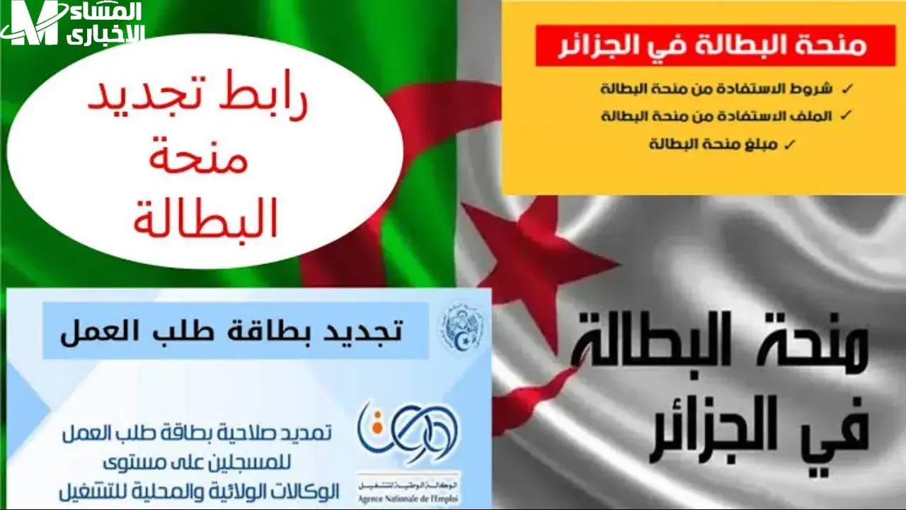 تجديد منحة البطالة 2025 