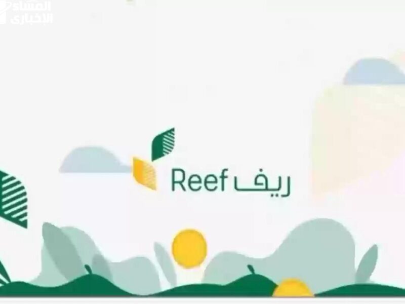 فرصة ما تتعوضش لكل بيت فى السعودية.. افتح باب رزقك من جديد مع دعم ريف بشروط سهلة وخطوات ولا أسهل