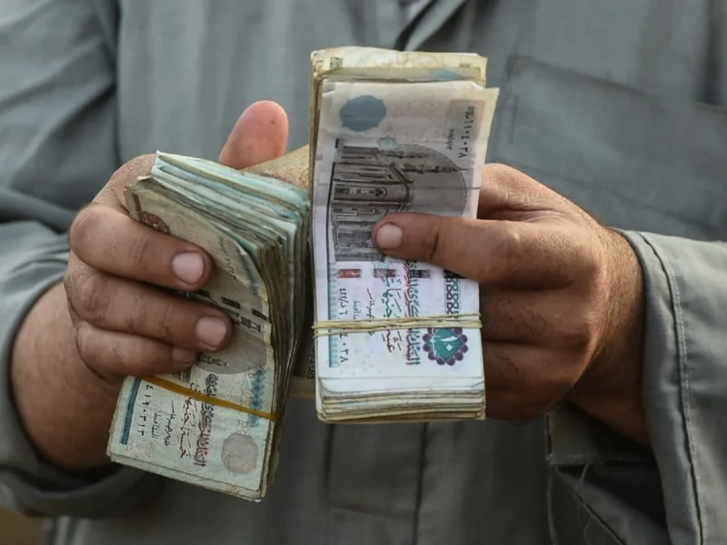 لو ضللت الحكومة..التأمينات الاجتماعية تعلن وقف المعاش نهائيا في مصر عن 5 حالات