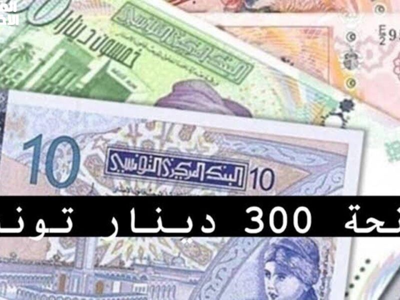منحة تونس تصدم الجميع.. منحة 300 دينار في تونس الشروط كاملة وطريقة التسجيل دقائق بسيطة مفاجأة سريعة