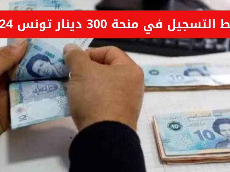 فلوس تونس جاهزة دلوقتي.. منحة 300 دينار في تونس الشروط كاملة وطريقة التسجيل تسجيل سريع