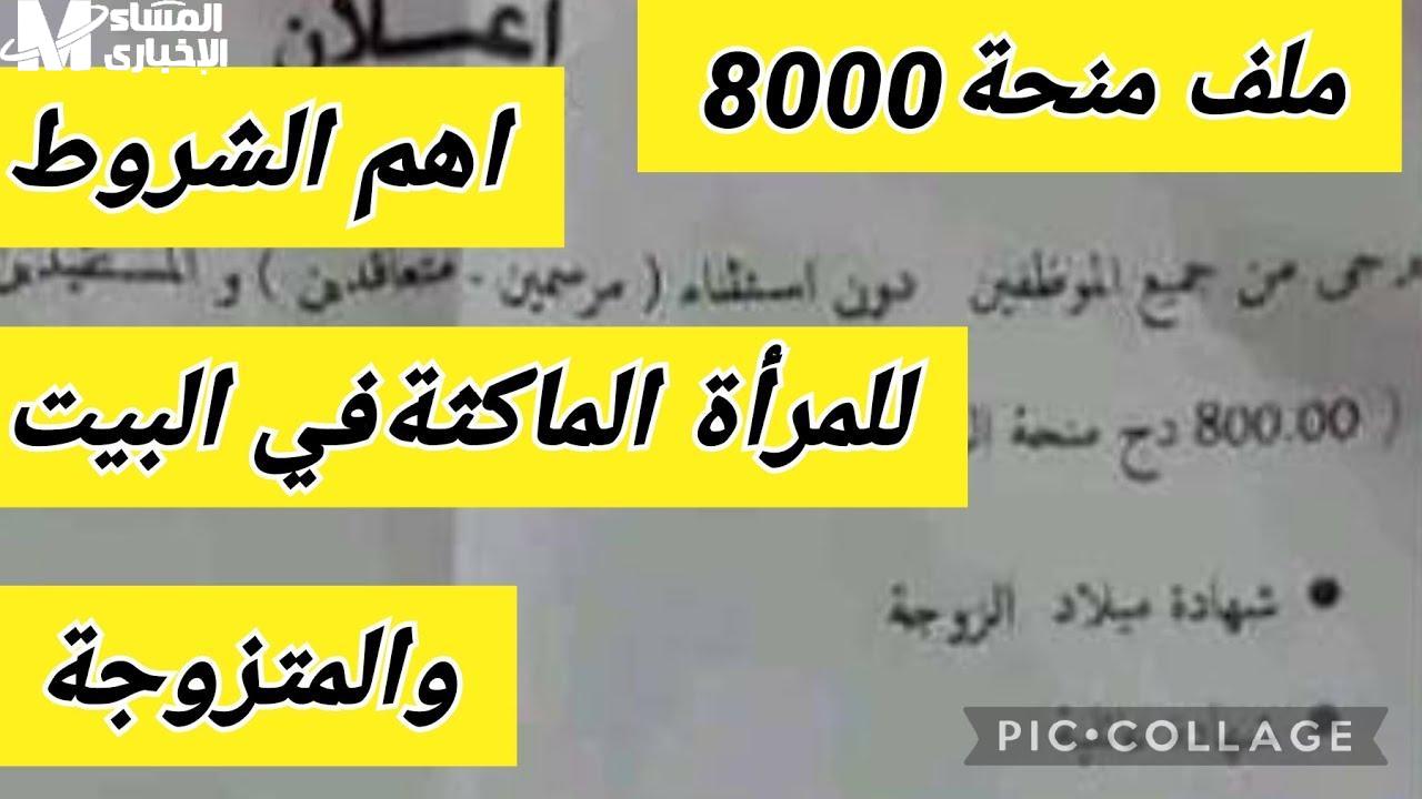 منحة 8000 دينار للطلبة العراقيين