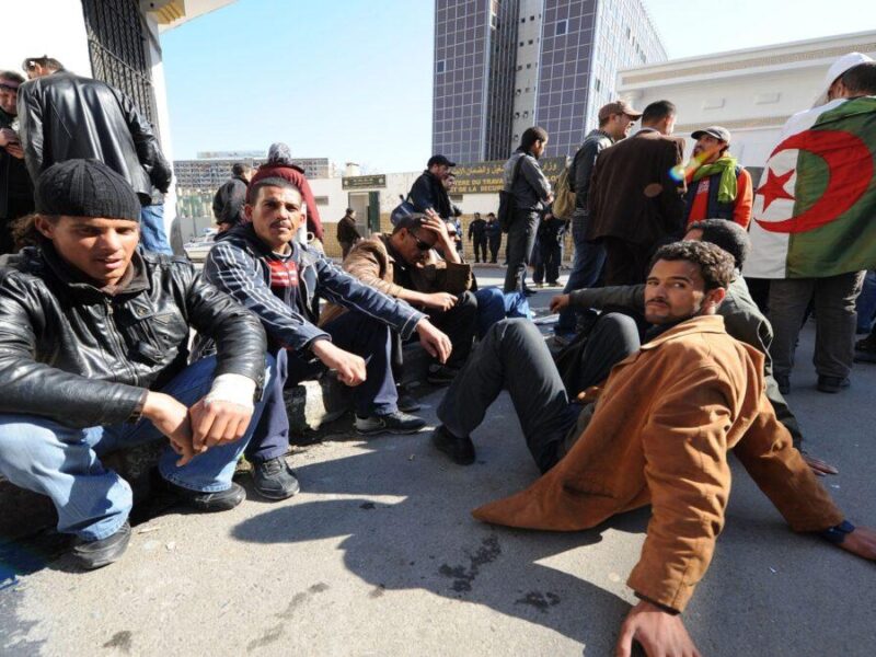 “كيفية تجديد منحة البطالة في الجزائر 2025.. خطوة بخطوة علشان متفوتكش الفرصة”