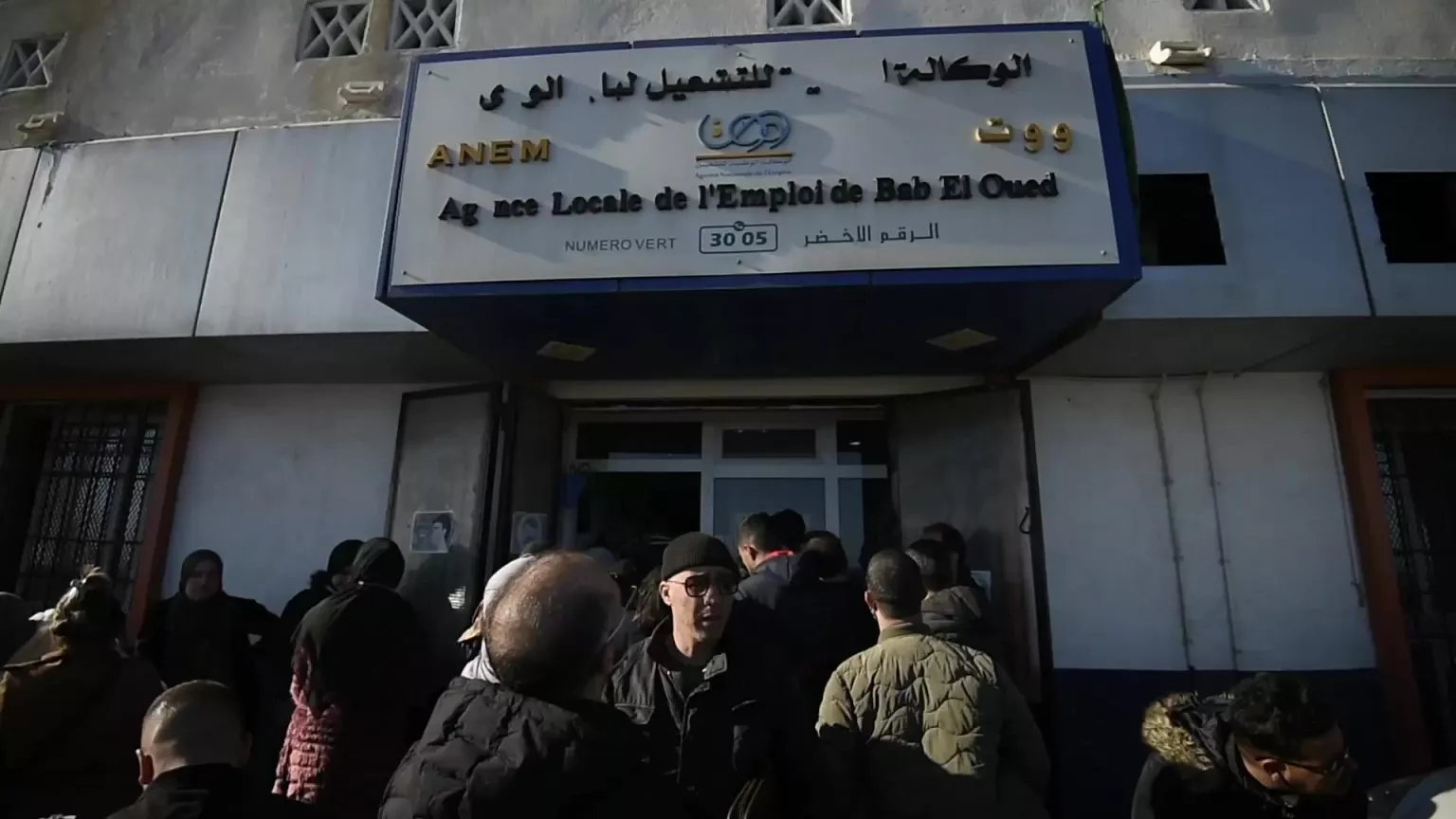 منحة البطالة في الجزائر