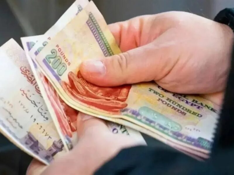 اسمك على الدعم.. استعلم عن منحة العمالة مايو 2025 قبل فوات القطر