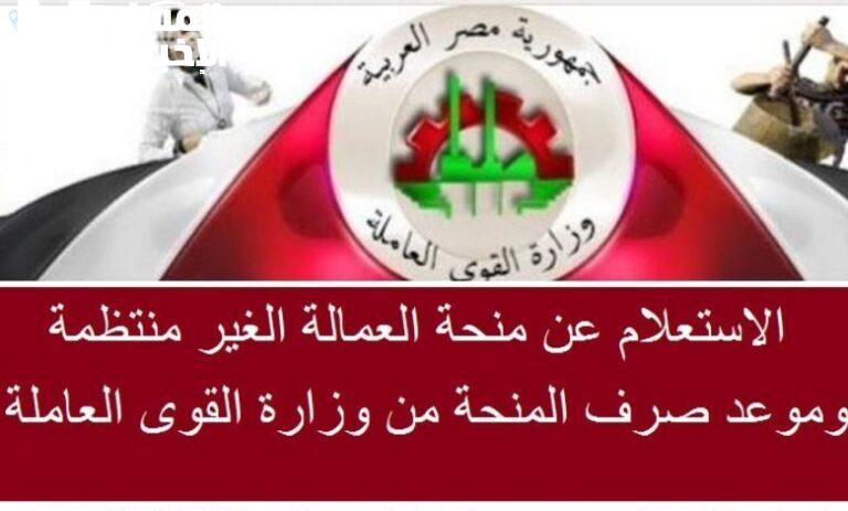 المنحة فتحت باب أمل.. منحة العمالة غير المنتظمة قبل ما يفوت الأوان