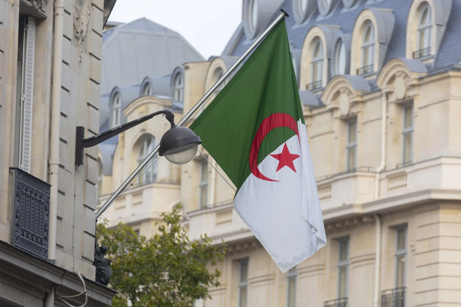 منحة البطالة