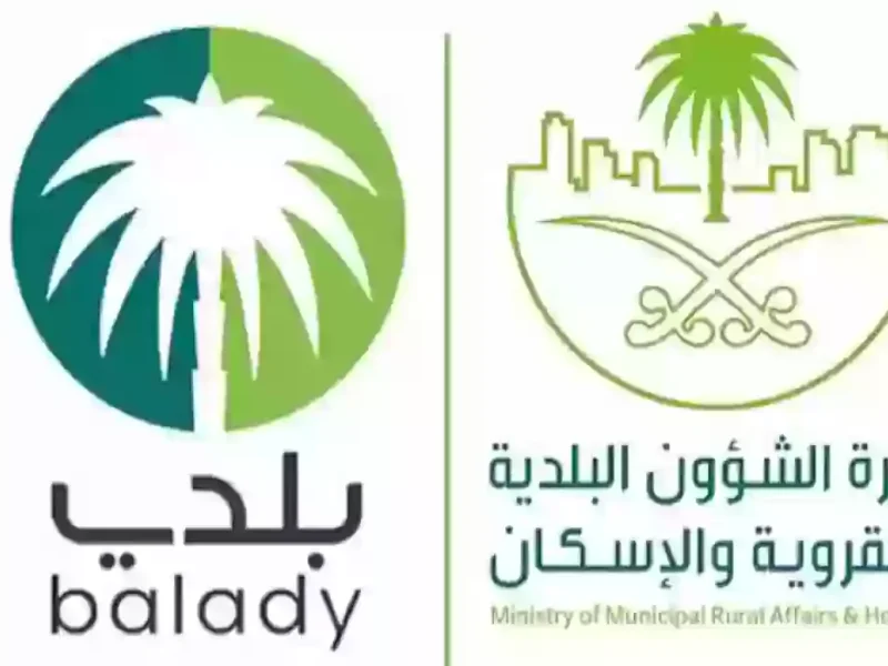 المهنيين يقدروا يجددوا في ثواني.. منصة بلدي لتجديد الشهادة الصحية رابط مباشر