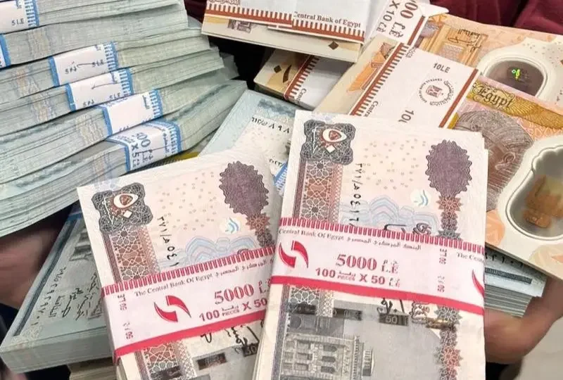 دفعة جديدة نورت الطريق .. موعد صرف الدعم السكني مايو 2025 رسمي مؤكد