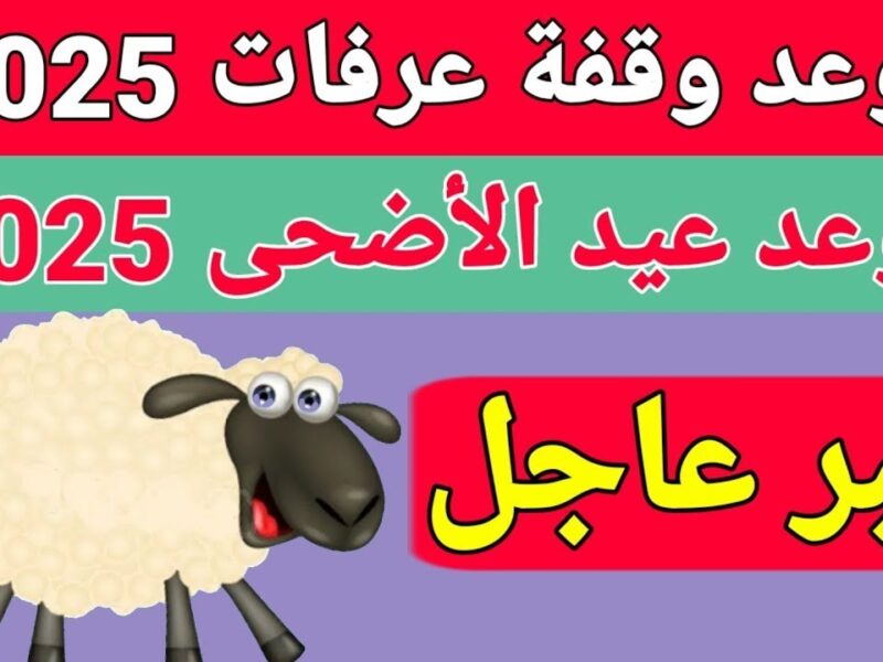 كل العرب مستنيين القرار .. موعد عيد الأضحى 2025 وأيام الإجازة راحة وسعادة