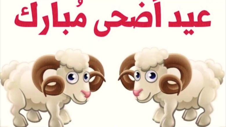 استعد لعيد الأضحى كما لم تفعل من قبل.. سنن نبوية تحمل أسرارًا لا تعرفها عن هذه الأيام المباركة