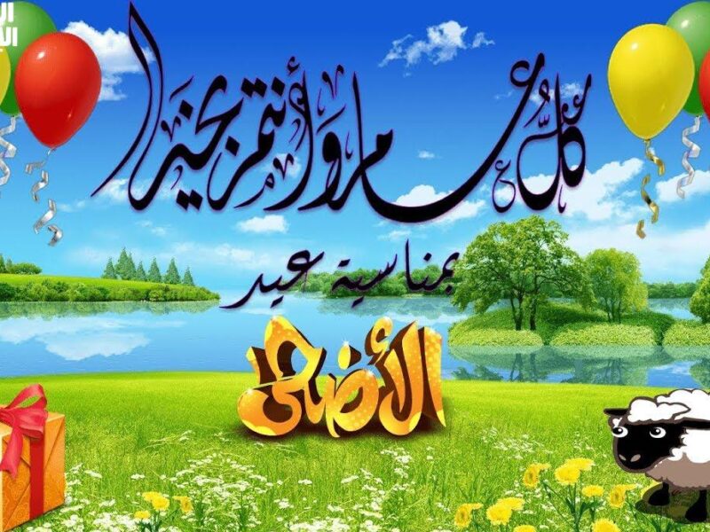 يلا نحتفل بعيد الأضحى.. أجمل كلام ورسائل تهنئة تلم الشمل وتفرح القلب على أصوله