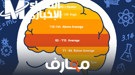 حساب الذكاء