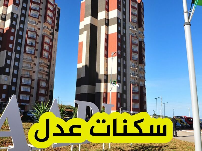 جهز أوراقك بسرعة.. الوثائق المطلوبة لتفعيل حسابي في عدل 3 إلكترونيًا في دقائق