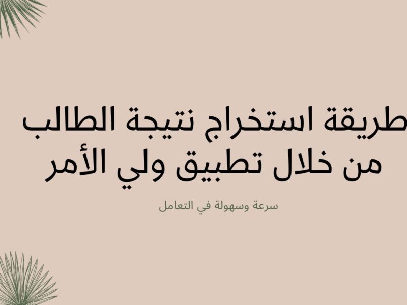 تابع أولادك لحظة بلحظة واطمن عليهم فى المدرسة.. تطبيق ولي الأمر هيخليك تشوف النتيجة أول ما تنزل