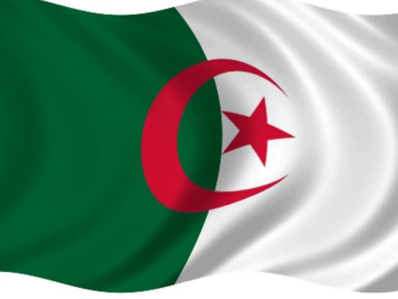 غيّر مستقبلك اليوم.. تجديد منحة البطالة الجزائر 2025 دعم مستمر