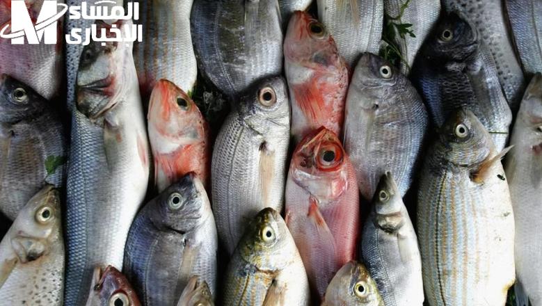 أسعار الأسماك