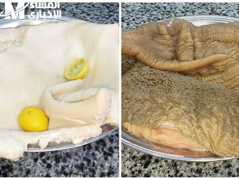 طريقة تنظيف الكرشة خليّة نظافة