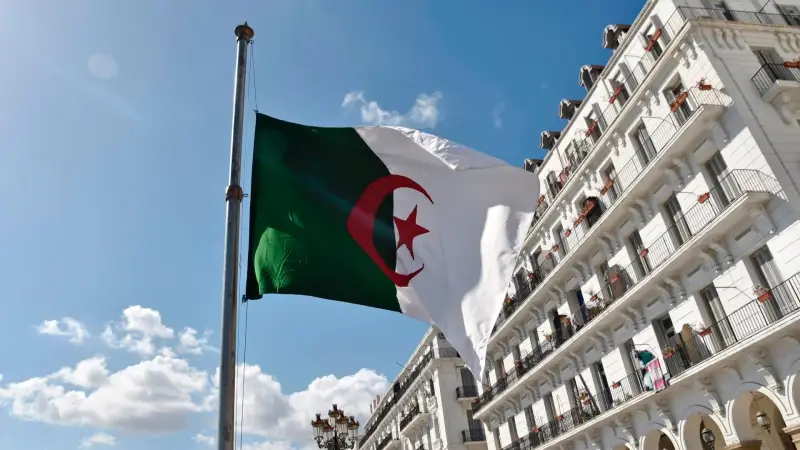 فرصة العمر للشباب العاطل.. منحة البطالة الجزائرية 2025 هتوصلك بمرتب ثابت وتدريب وانت في بيتك