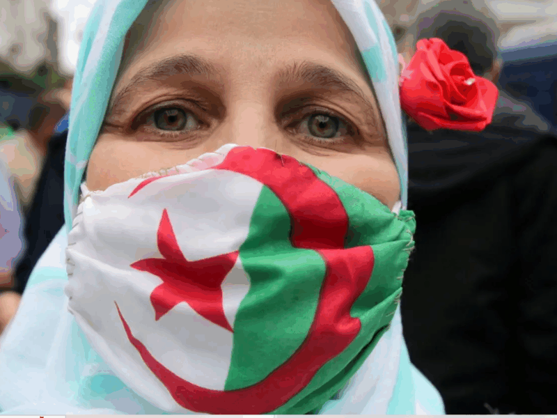 لو انتي ست جزايرية قاعدة في البيت ومحتاجه دخل يساعدك شوفي ازاي تقدري تقدمي على منحة المرأة الماكثة 2025 بخطوات سهله وتقبضي وانت مرتاحة