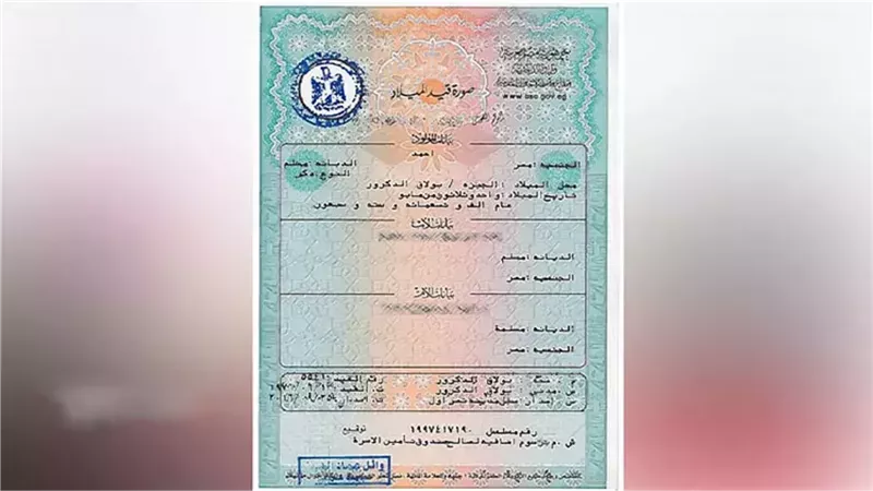 الورق بقى في موبايلك.. شهادة الميلاد الرقمية للأسر الحاضنة في إيدك من غير عناء