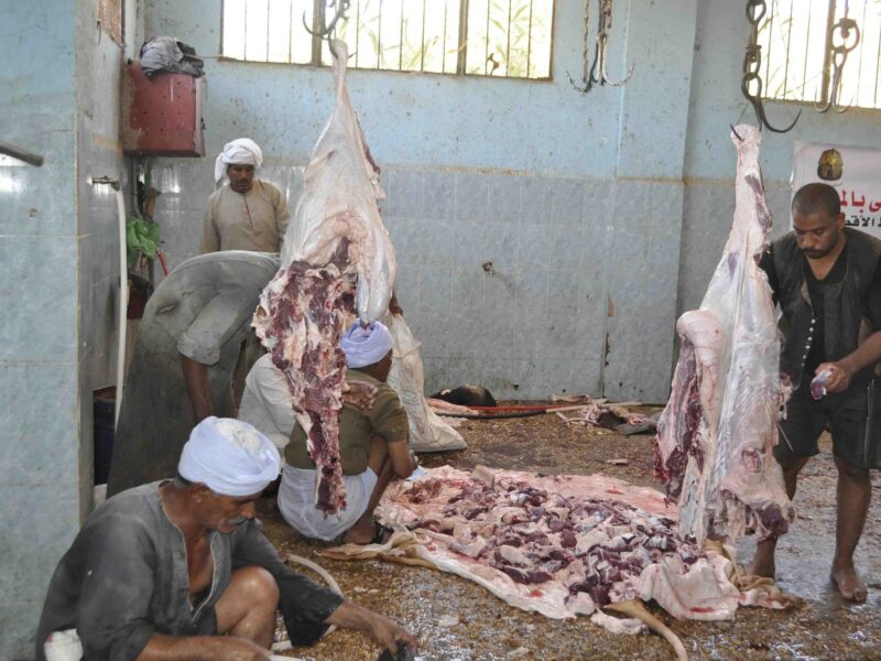 نظّف الضاني بإحسان.. طريقة تنظيف الضاني سهولة استخدام