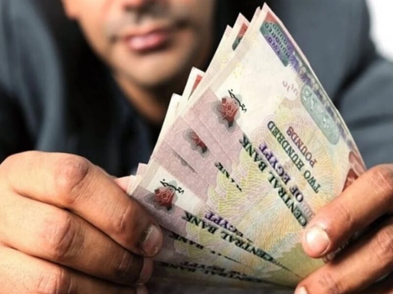 راتبك نزل ولا لسه؟ شوف دلوقتي خطوات الاستعلام عن رواتب الموظفين لشهر يوليو 2025 من غير ما تروح ولا تسأل حد