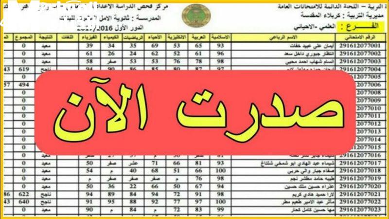 مبروك النتيجة ظهرت.. نتائج السادس الابتدائي محافظة كركوك 2025 الدور الأول بسهولة ويسر