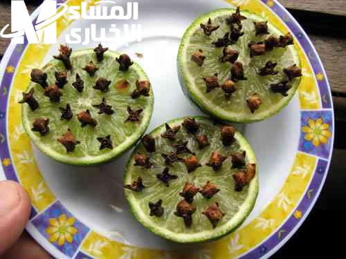 ودّعي البعوض.. طريقة للتخلص من الناموس نهائيًا بشكل مضمون