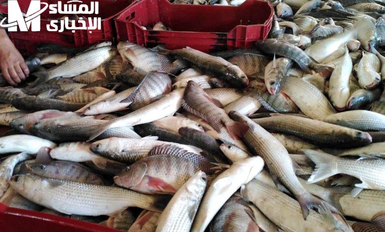 خد الطازة.. أسعار السمك اليوم الإثنين 16/6/2025