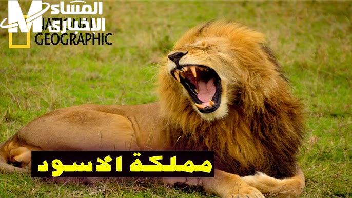 هتتثقف وانت في بيتك.. تردد قناة ناشيونال جيوغرافيك الجديد علي مختلف الأقمار الصناعية عرب ونايل سات
