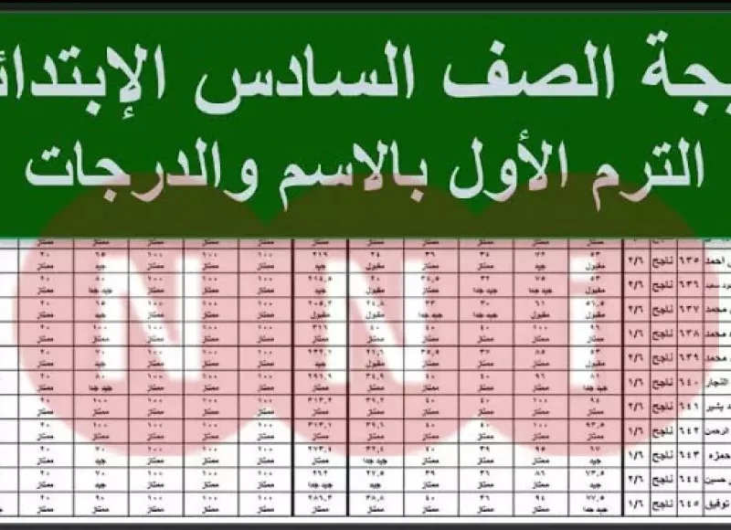 كل المحافظات.. استعلام نتائج السادس ابتدائي 2025 جميع المحافظات الدور الأول سهولة اطلاع