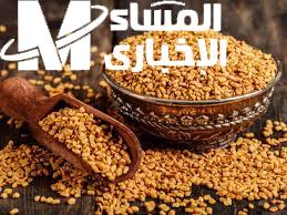 الحلبة