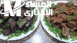 الفشة والطحال