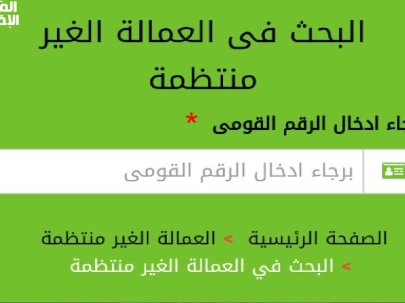 مش محتاج تسأل حد.. رابط مباشر لاستعلام منحة العمالة غير المنتظمة 2025 من الوزارة بسهولة