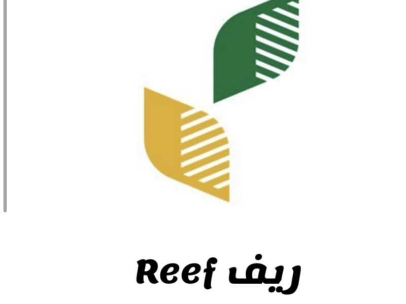 لا تفوت الفرصة.. كم دعم ريف للأسر المنتجة 1446 شروط دعم ريف السعودية دعم فعّال نتيجته سريعة